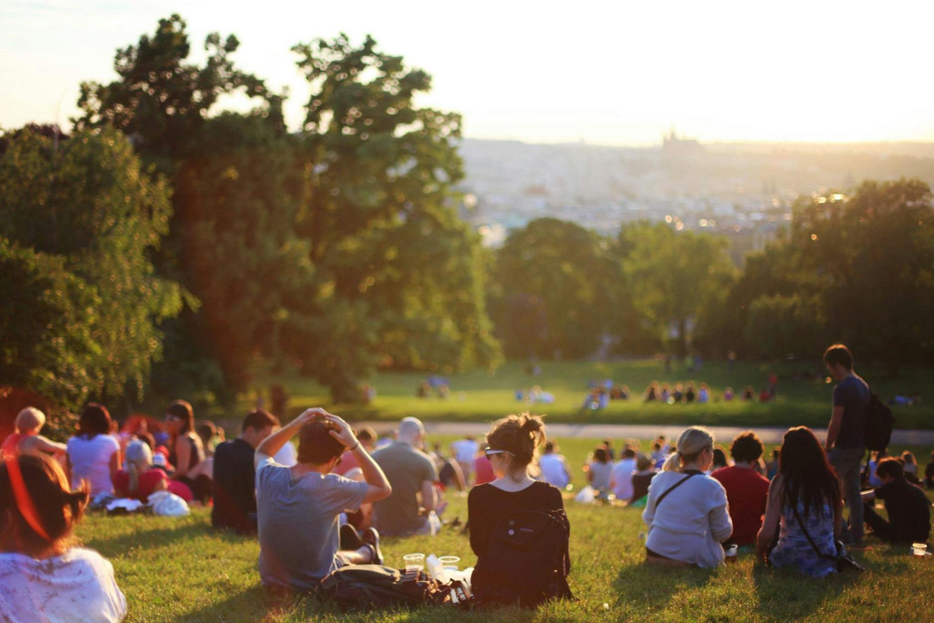 group of people enjoying music concert