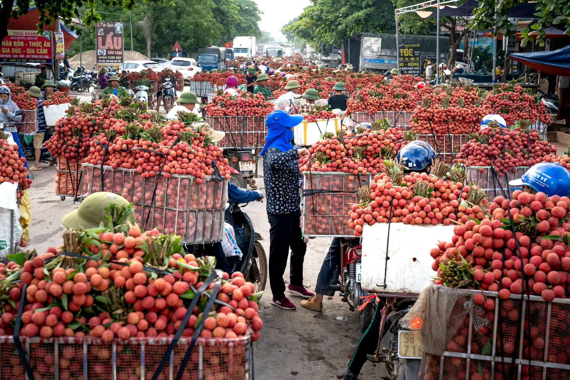 people on scooters with baskets full of lychee fruit